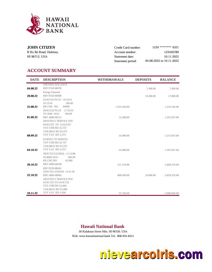Hawaii National Bank statement Excel and PDF